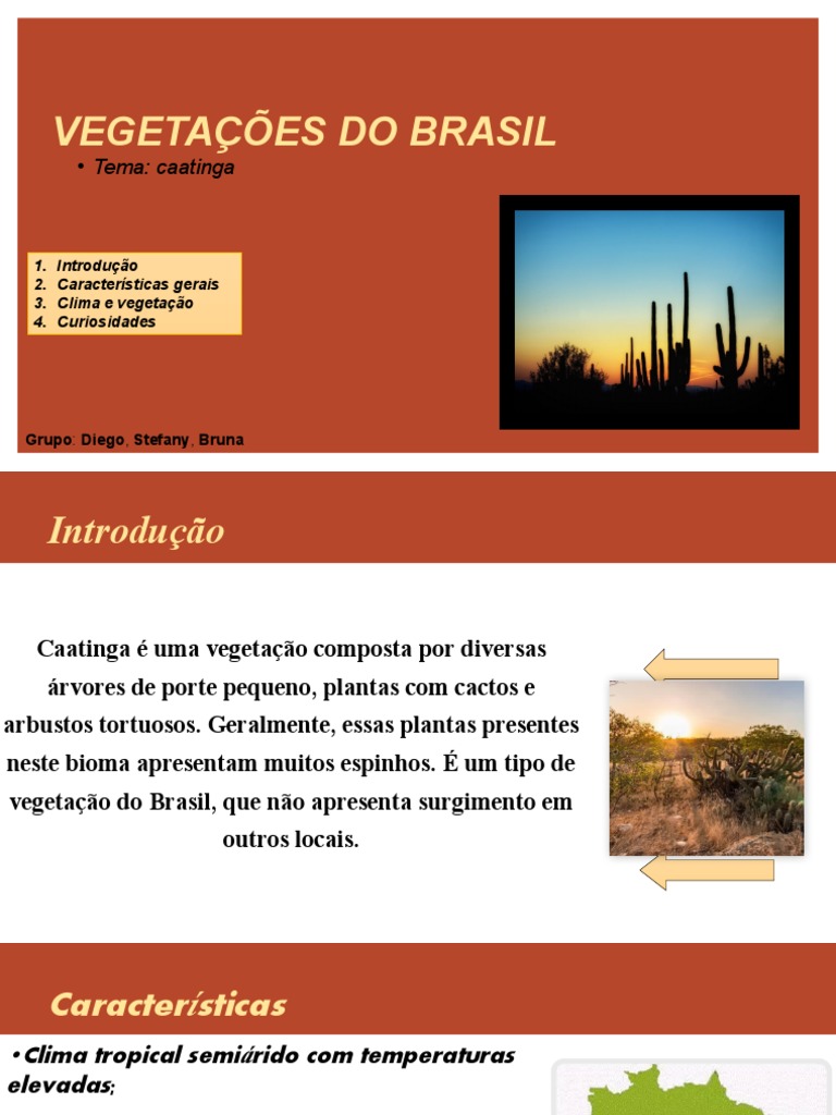 Caatinga Seminário | PDF