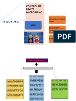 Semana 15 Trabajo Grupal de Microbiologia PDF