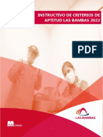 1.instructivo de Criterios de Aptitud Las Bambas 2022