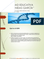 Unidad Educativa "Leonidas García": Tema .El Adn Como Base de La Vida. 2bgu .F, G, H