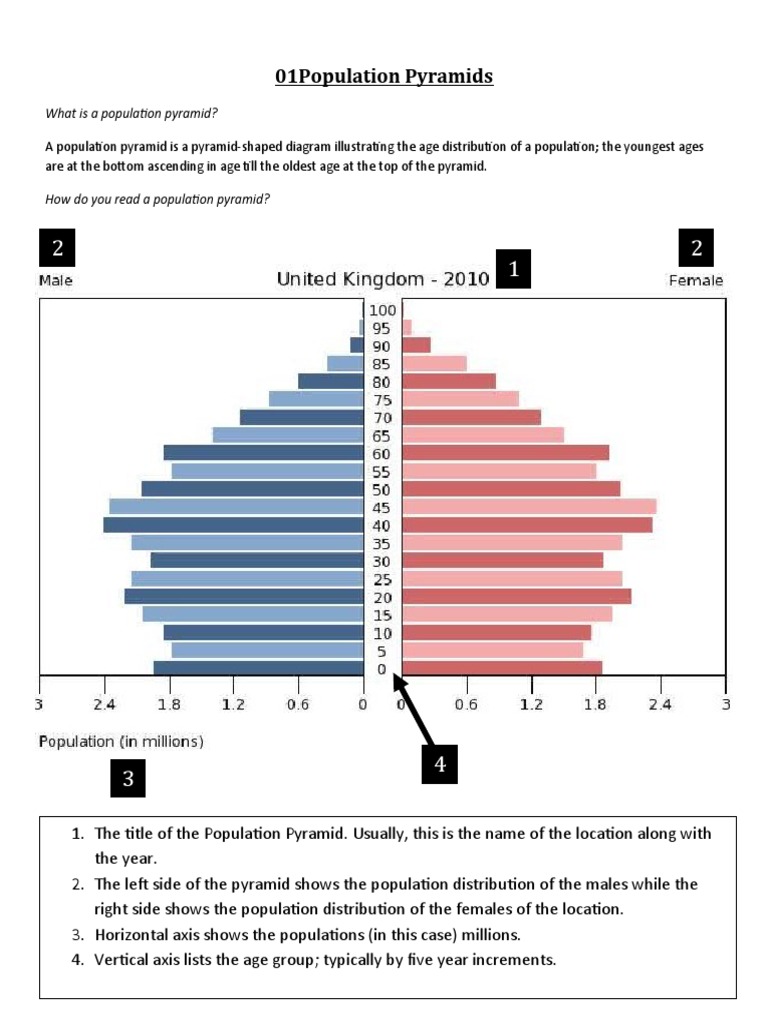 Population Pyramid Analysis Guide | PDF | Human Development