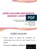 Lesões Celulares Irreversíveis - Necrose e Apoptose