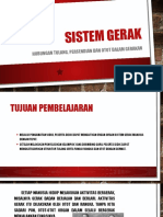 Sistem Gerak