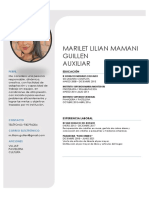 CV Marilet Mamani Guiilen