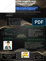 Conclusion Del Proceso y Plazos