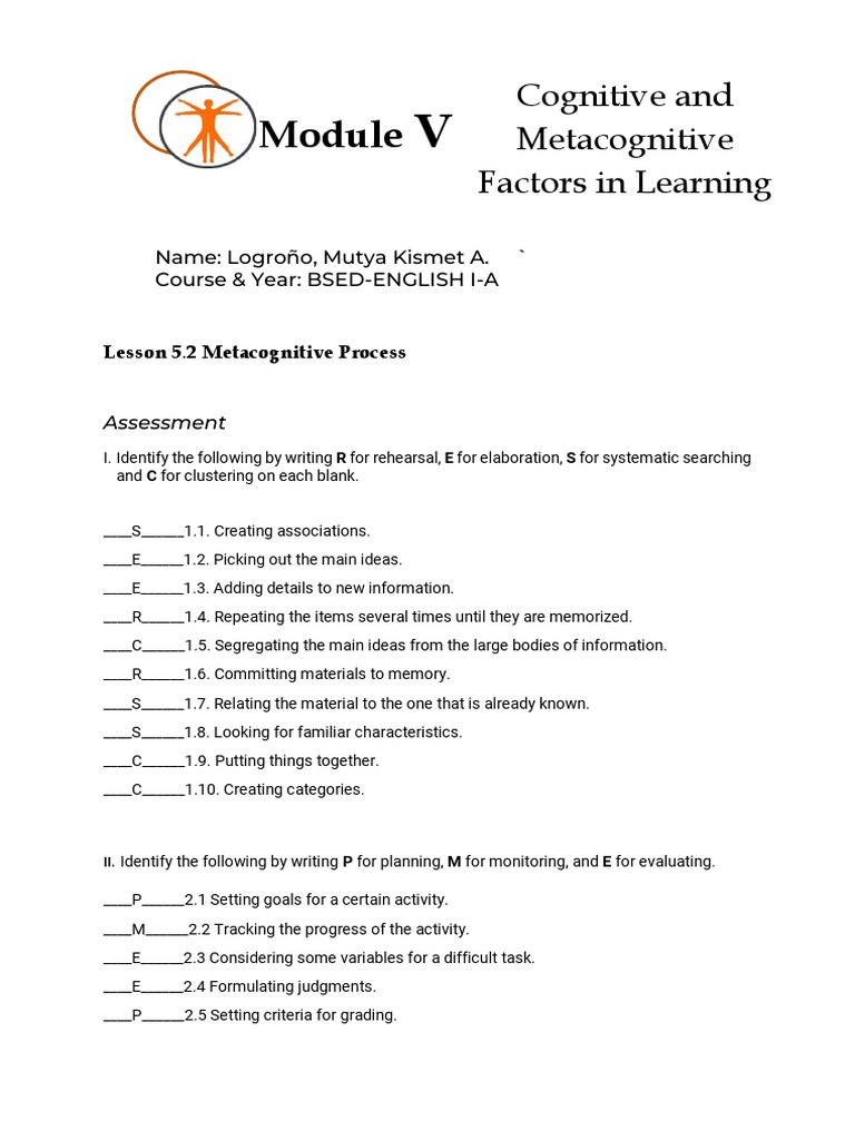 Metacognitive Process Assessment Guide | PDF