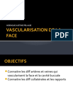 Vascularisation de La Face 2