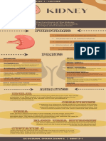 Kidney Functions