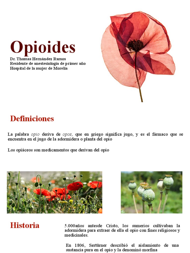 Generalidades De Opioides Pdf Dolor Opioide