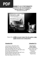 Download ANPR Report by Puneet Kumar Singh SN61303695 doc pdf