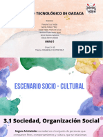 Escenario Socio-Cultural. Equipo 3