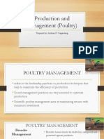Management Practices On Poultry