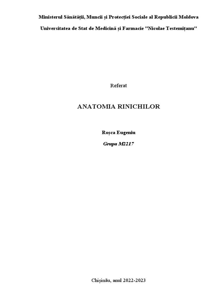 Anatomia Rinichilor | PDF