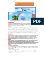 Delaya 10 IPS - Penginderaan Jauh