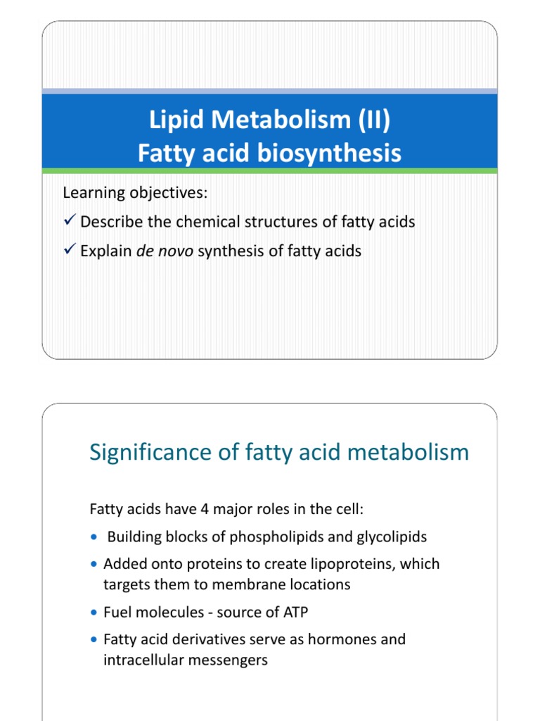 A Comprehensive Examination of Lipid Metabolism and Fatty Acid ...