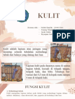 KULIT Kelompok 2