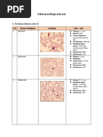 Jenis-Jenis Leukosit | PDF