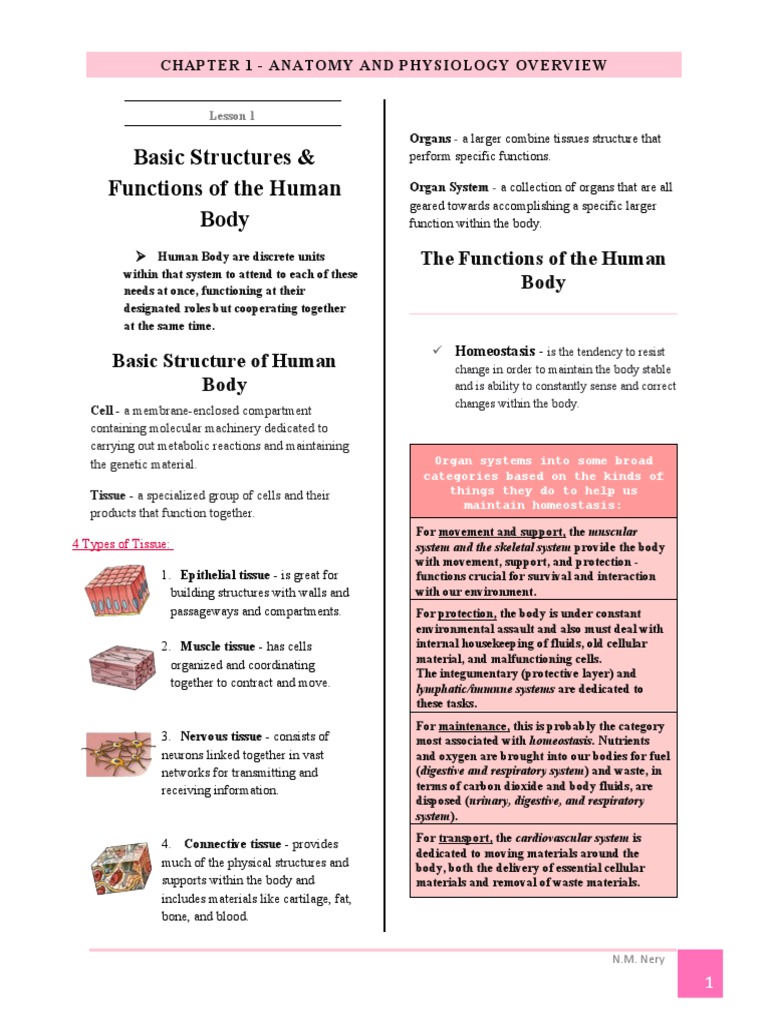 CHAPTER 1. Anatomy and Physiology Overview | Download Free PDF ...