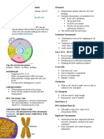 Cell Cycle