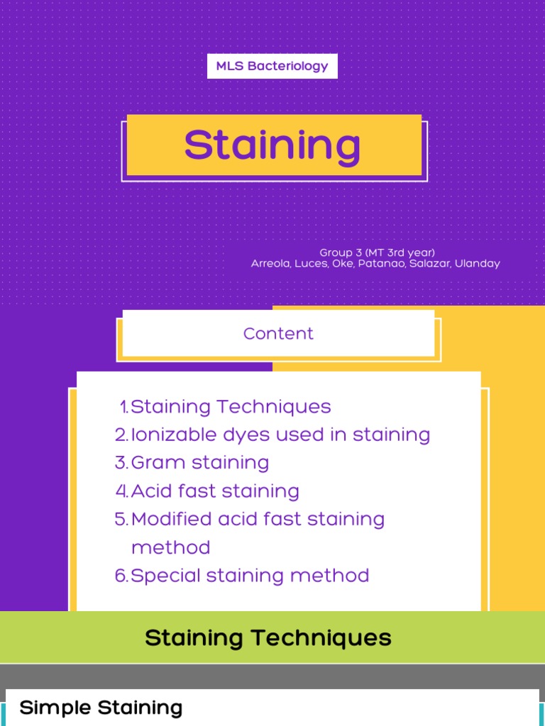 Staining Bacteriology | PDF | Staining | Gram Positive Bacteria