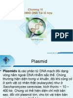 3b PlasmidTaiToHop V