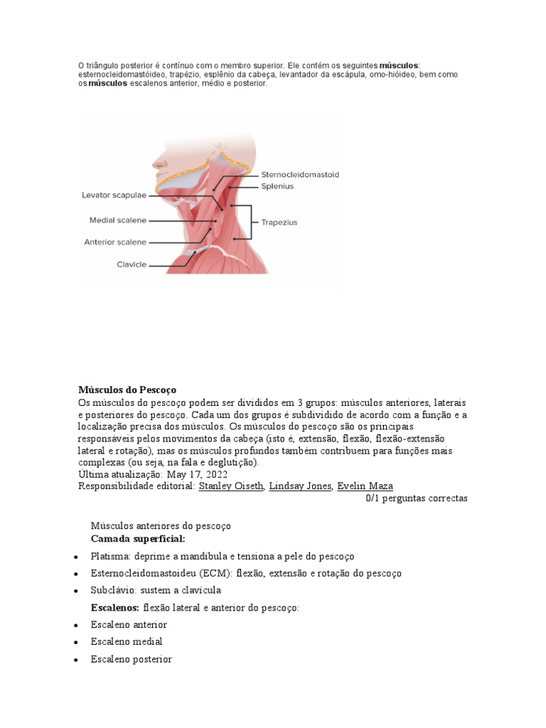 Músculos Do Pescoço Pdf Coluna Vertebral Pescoço