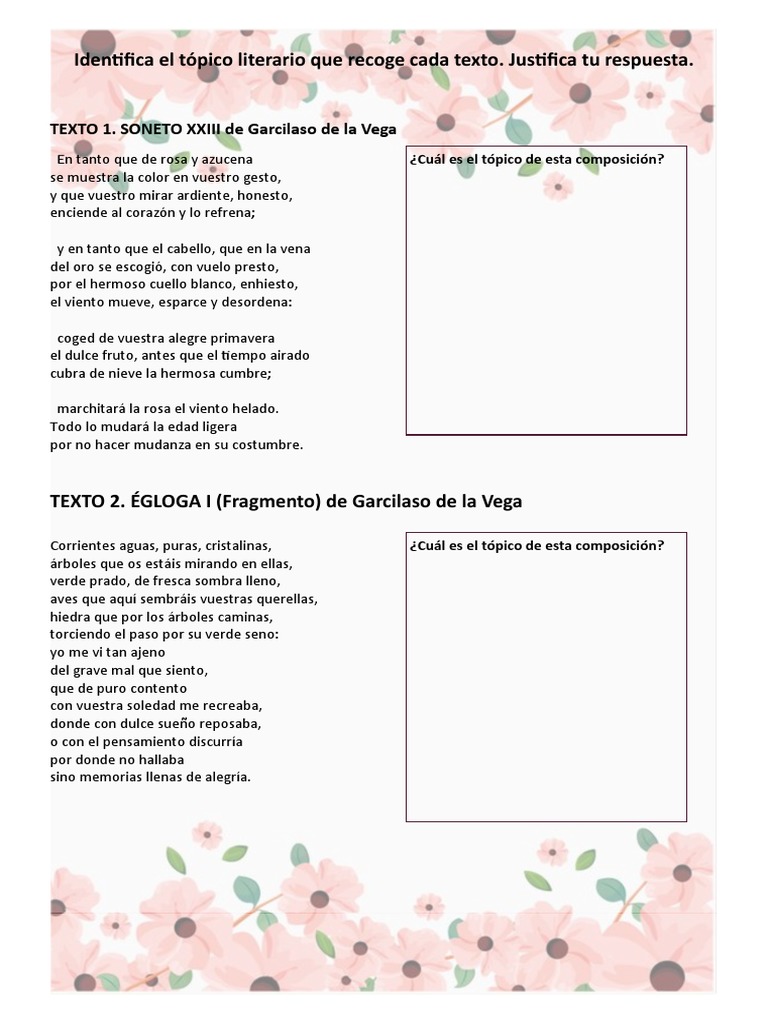 Tópicos Literarios PDF