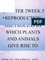 Week 5 q2 Reproduction