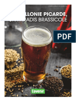 La Wallonie Picarde, Un Paradis Brassicole: Notre Supplément "Bières"