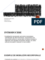 Contabilitatea Imobilizarilor Necorporale