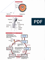 Hafalan Virus Isi