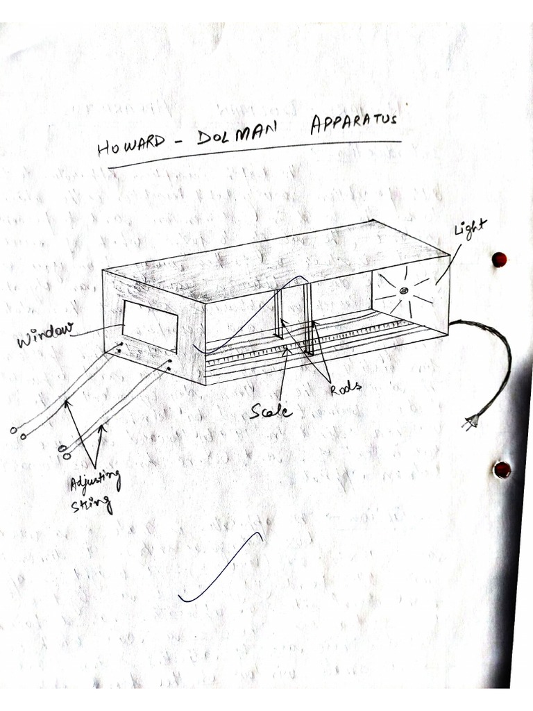 DOLMAN | PDF