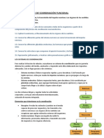 Bloque III - Anatomía y Fisiología2