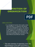 Definition of Organization