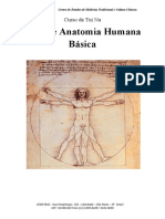Anatomia - Tui Na (1)
