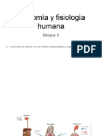 Pres - Bloque3 - Anatomía y Fisiología P1 - Nutrición