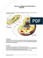 Tema 2. - La Célula - Unidad de Estructura y Función