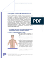 Conceptos Básicos de La Neurociencia y Educación