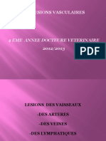 Anatomie Patholoique Du Systeme Vasculaire