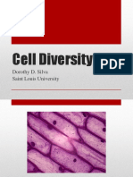 7c Cell Diversity - Experiment