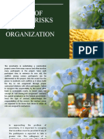 Ce168 Effects of Project Risks On Organization