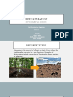 Presentation Environmental Science