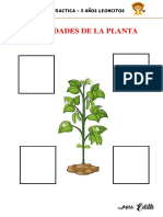 La Planta y Sus Partes