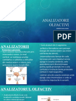 Analizatorii Olfactivi 1