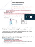  Membrane-Transport Webquest