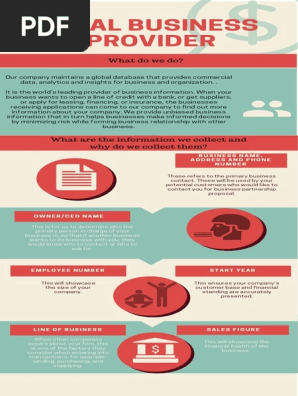 Global Business Provider Overview V3