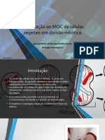 Observação da mitose em células de raiz de cebola