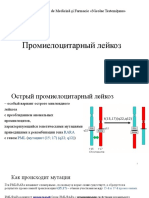 Презентация2