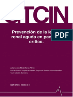 Gtcin Prevencion de La Lesion Renal Aguda en El Paciente Critico