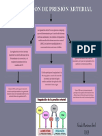 Regulación de Presión Arterial